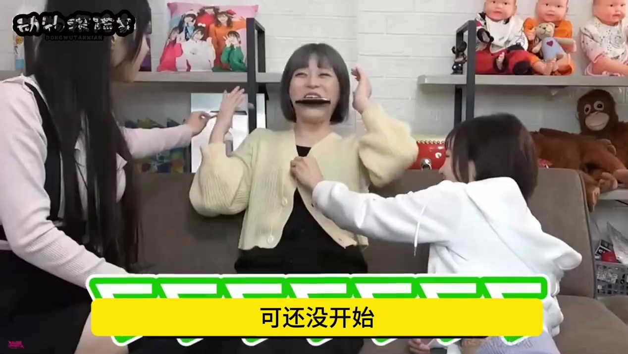 日本趣味综艺