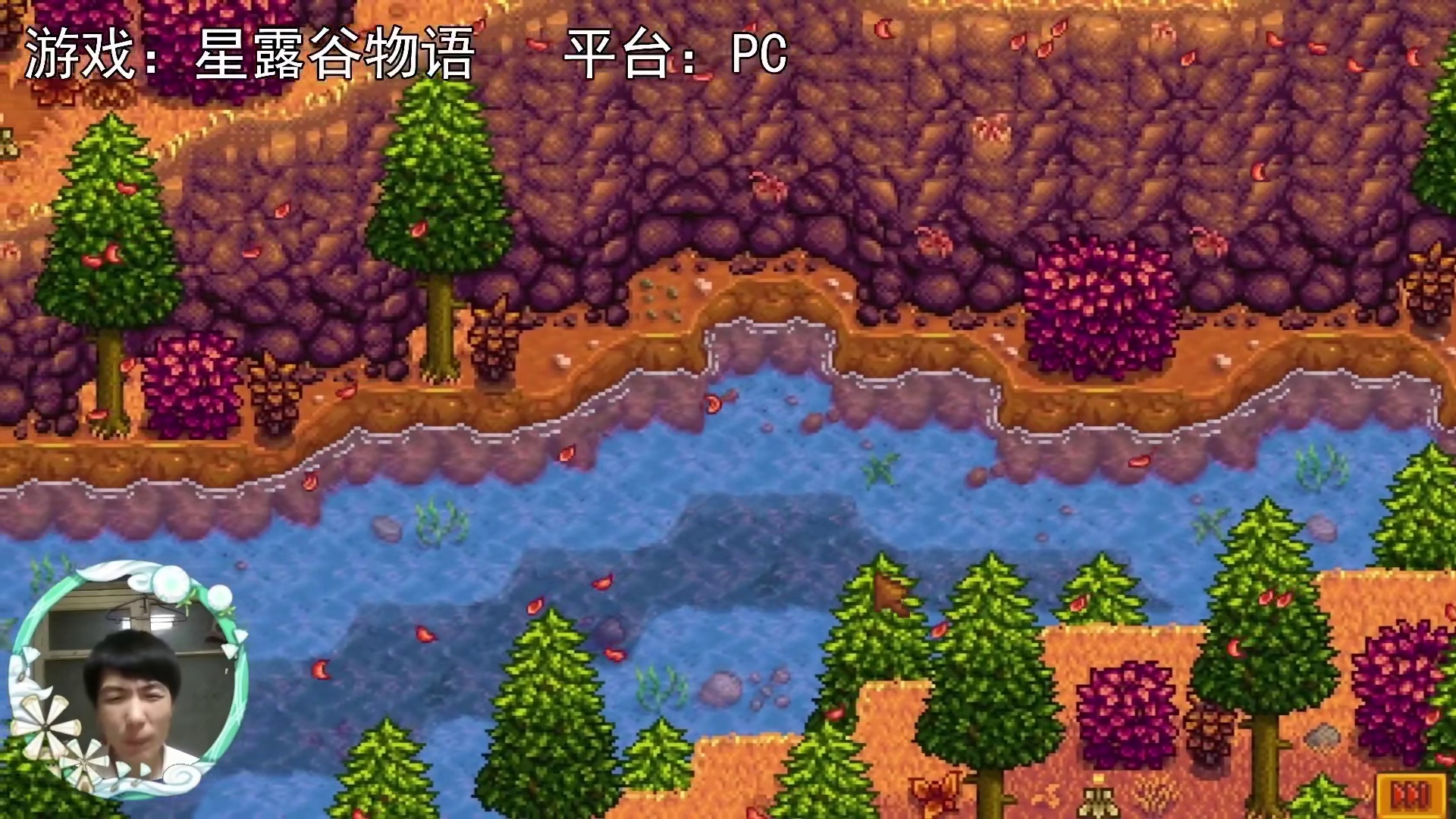 【星露谷物语】兰斯高地！