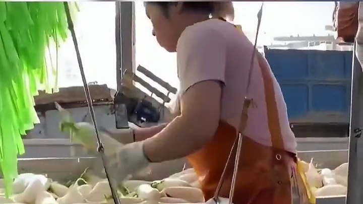 都是萝卜怎么差别这么大