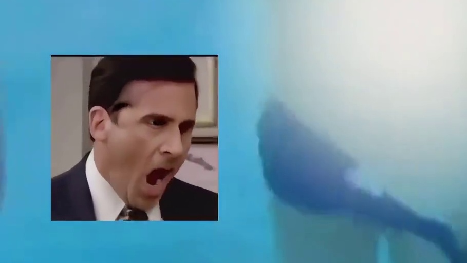 看到你们ao运会上都能捅篓子，我的精神内耗瞬间好了