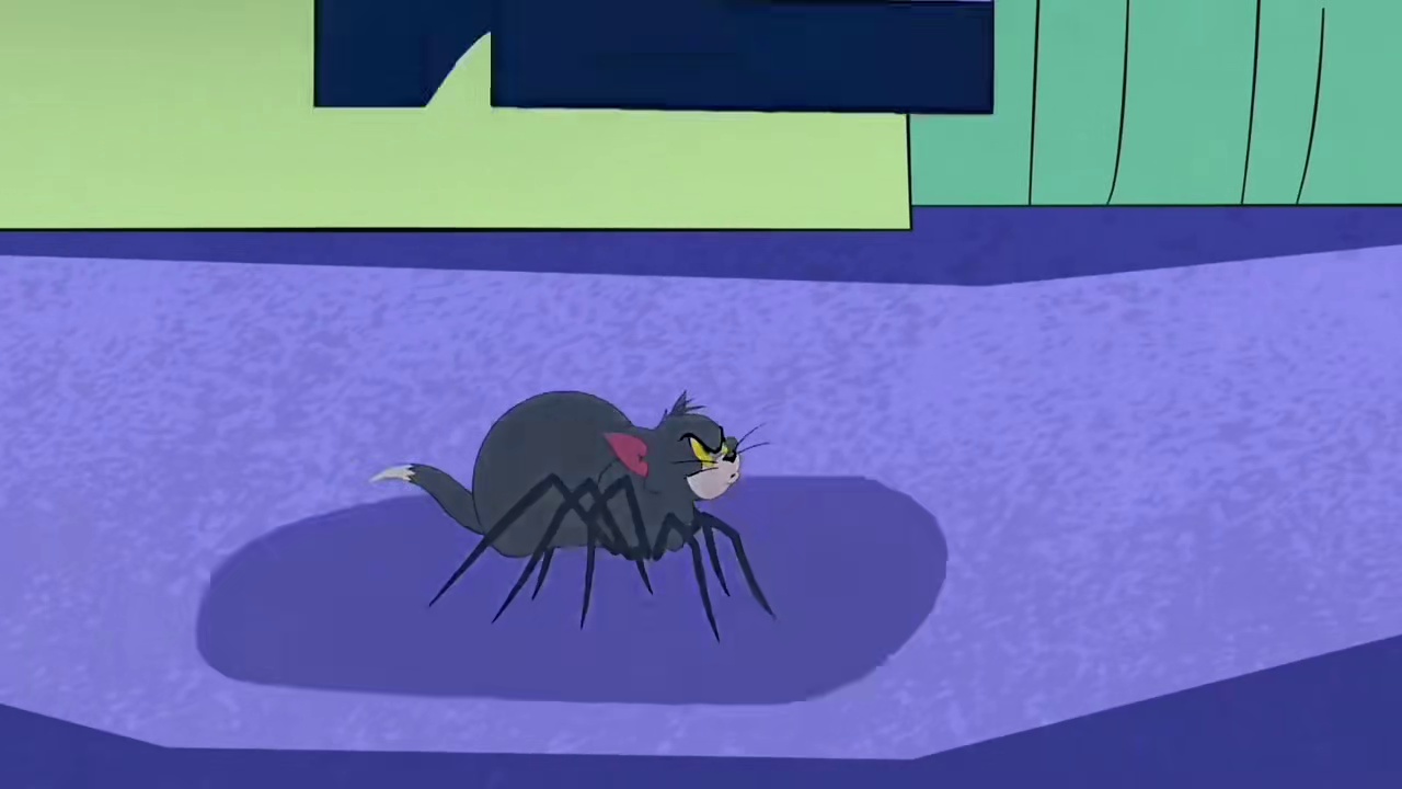 一口气看完猫和老鼠经典系列合集，《蜘蛛猫》