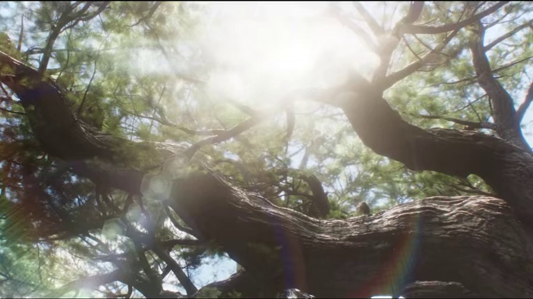 天罗覆九州丨永劫无间手游S8赛季CG，原创英雄【南宫锦】明日上线！#永劫无间手游  #永劫无间手游天