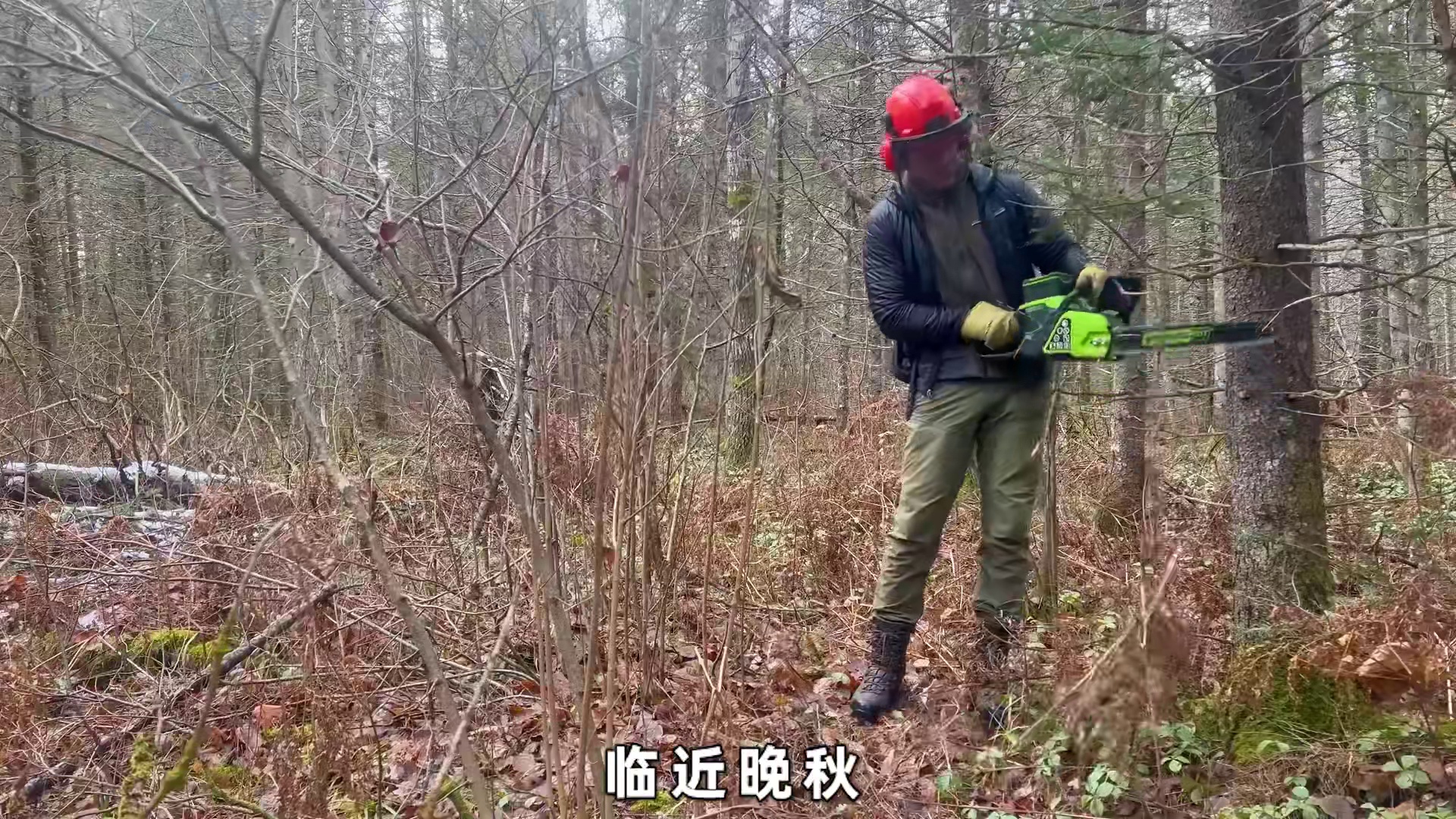 男人放弃高薪工作，在加拿大荒野搭建出豪华木屋（01）