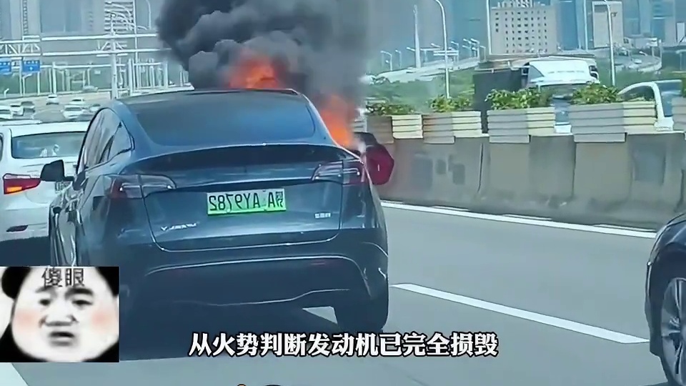 我发布了一个新视频，快来围观吧！