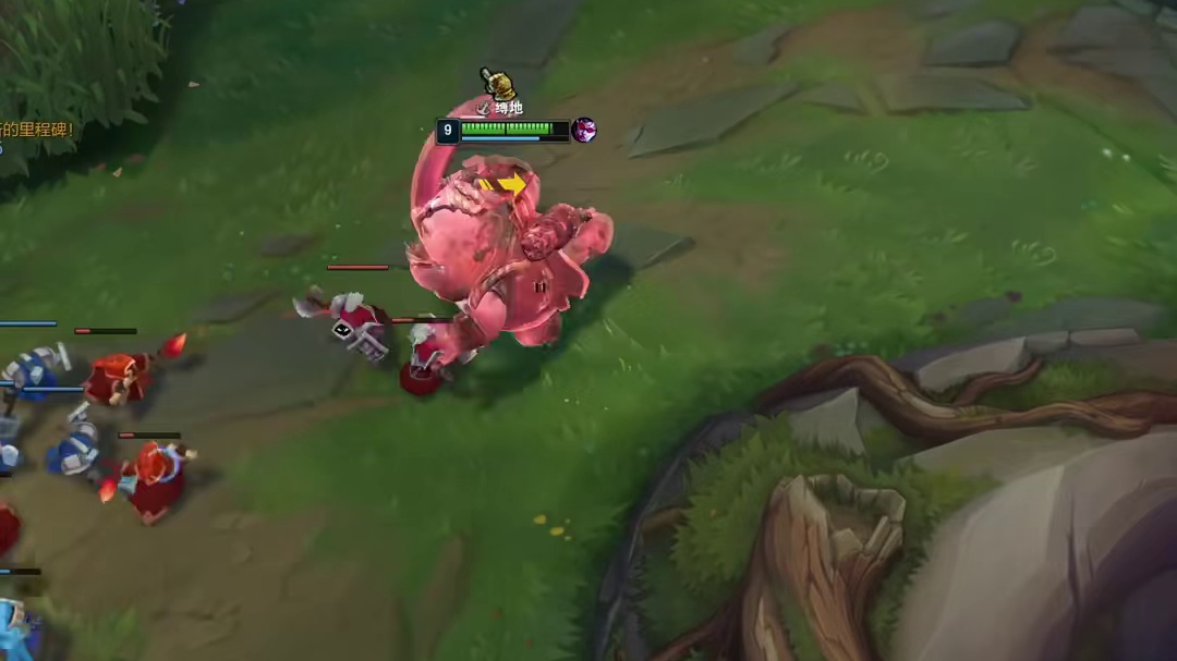 最爽的一级，爆杀上单VN来咯