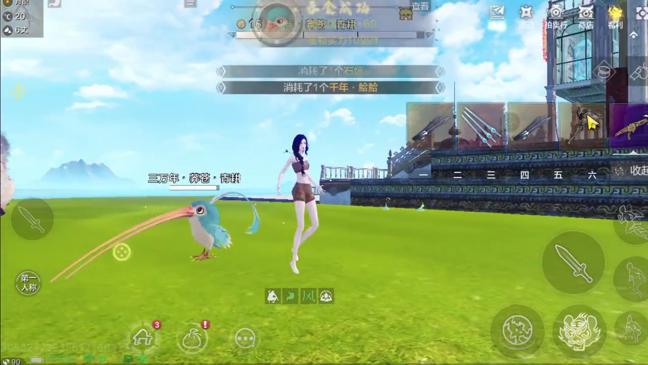 第11期：三万年进化五万年猾褱和青耕，能否百分之六呢？