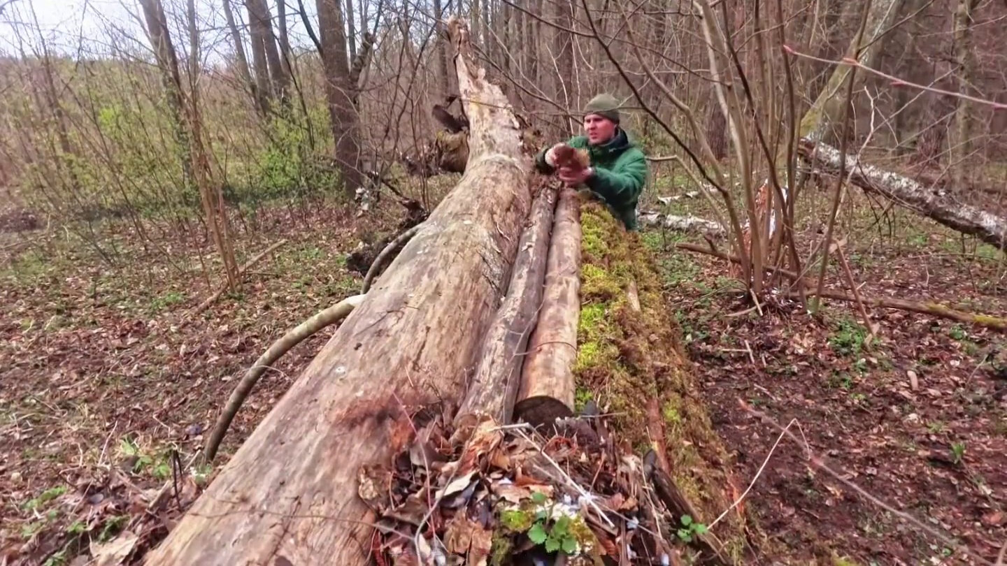 这是我见过最隐蔽的庇护所，他的建造方式十分独特！