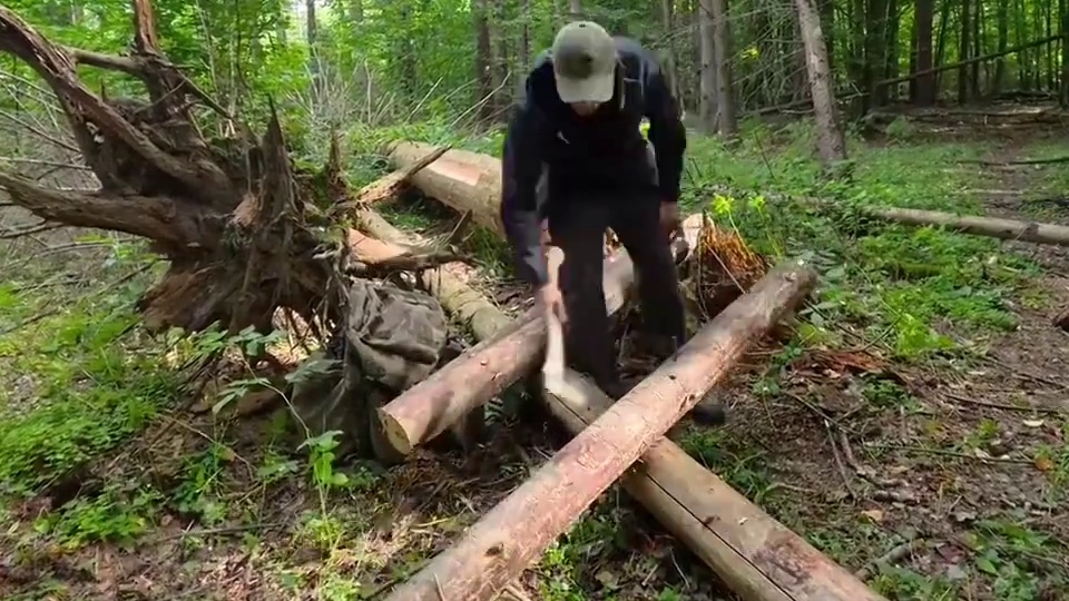 在倒下的树木上建造舒适的小屋