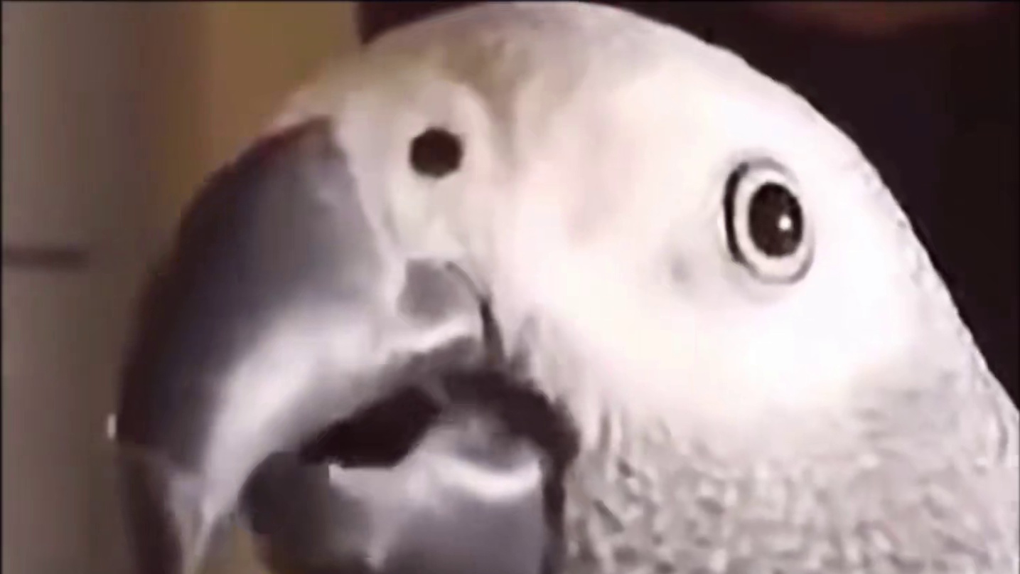 看哭千万伊斯玛尔同胞！无关胜负，看完Mike哈迪的这波暴蒸，我只能说麦锅真回来了！