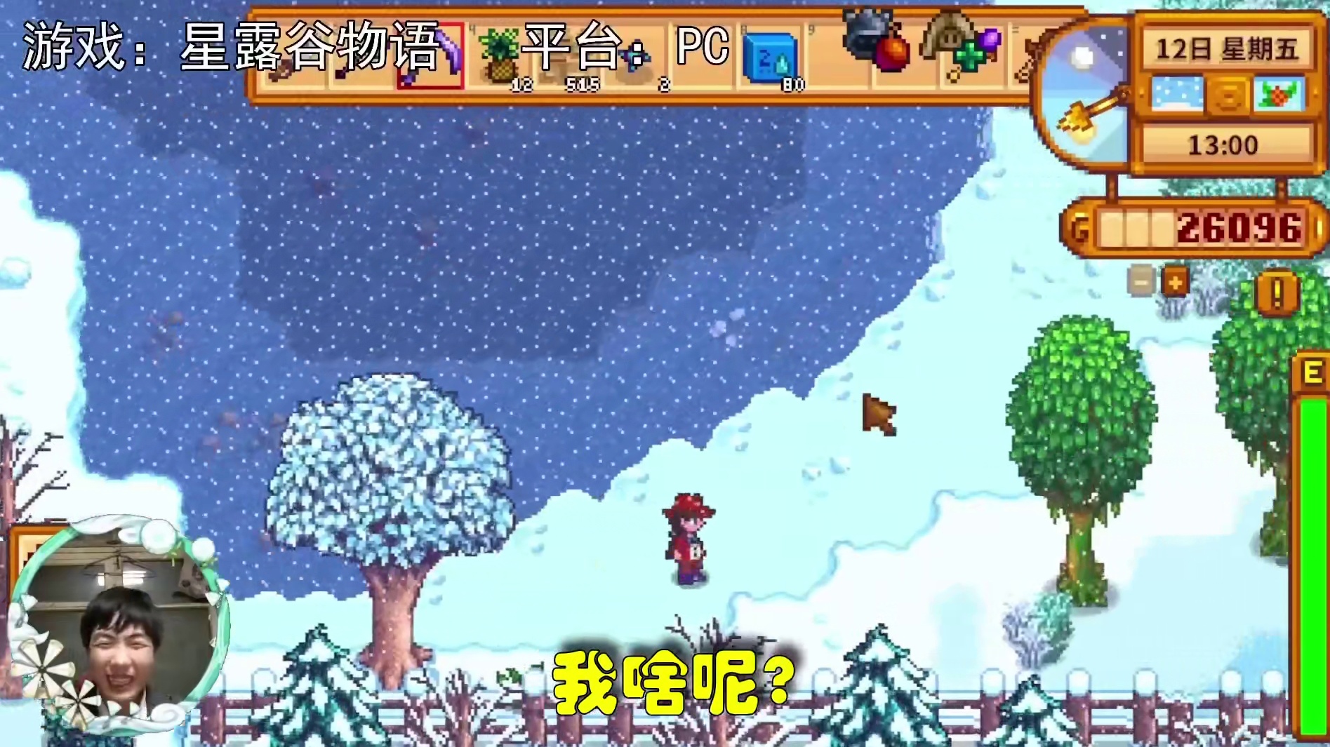 【星露谷物语】里奇赛德村，修房子，控天气，下水管，下一步是不是驱鸟了？