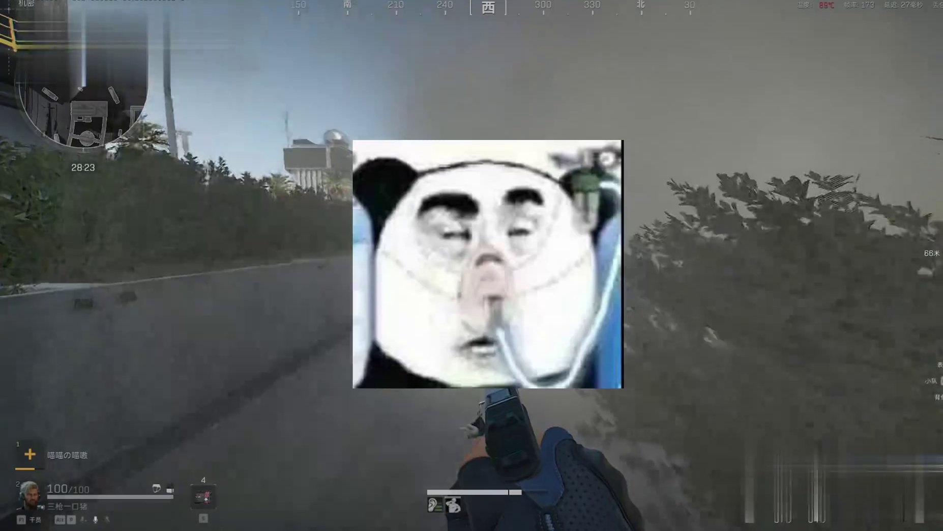 不知道女医后台都有人吗？哪怕是只哈基蜂