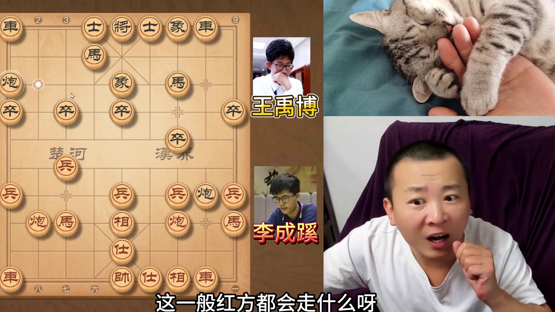 从哪蹦出来的“孙猴子”怎么这么猛？王禹博VS李成蹊 25年象 #象棋 #象棋比赛 #中国象棋 #象棋