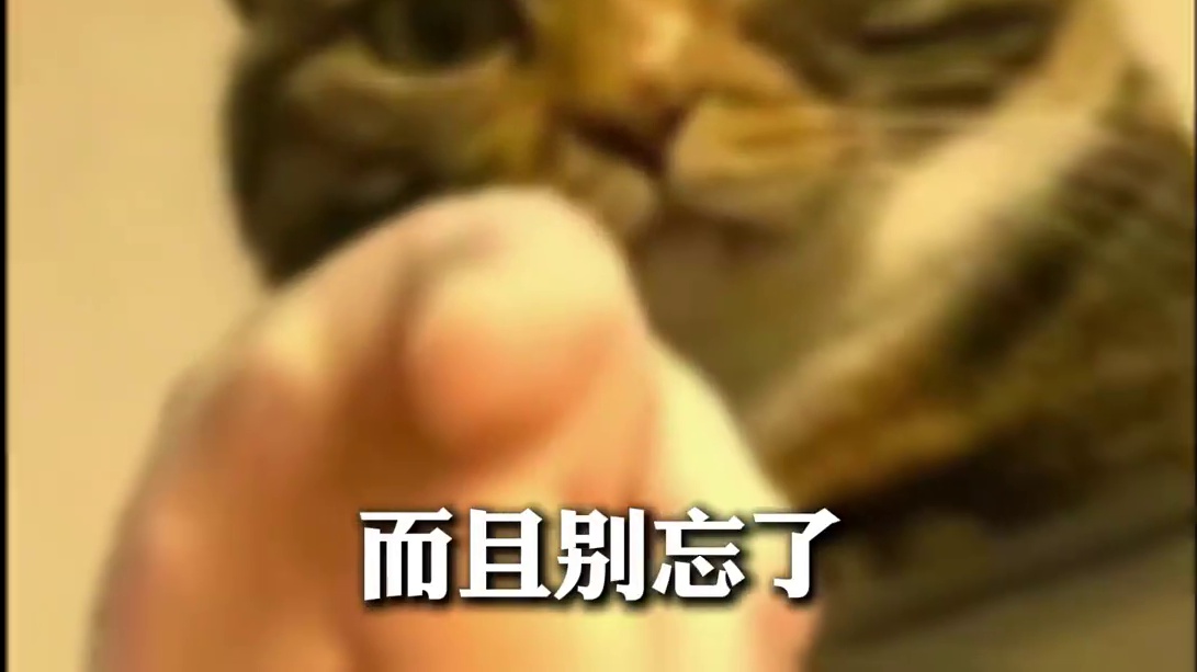 关于卢西娅最强平民音擎【残响-III型】的几点补充 #绝区零 #绝区零激励计划 #绝区零攻略 #绝区