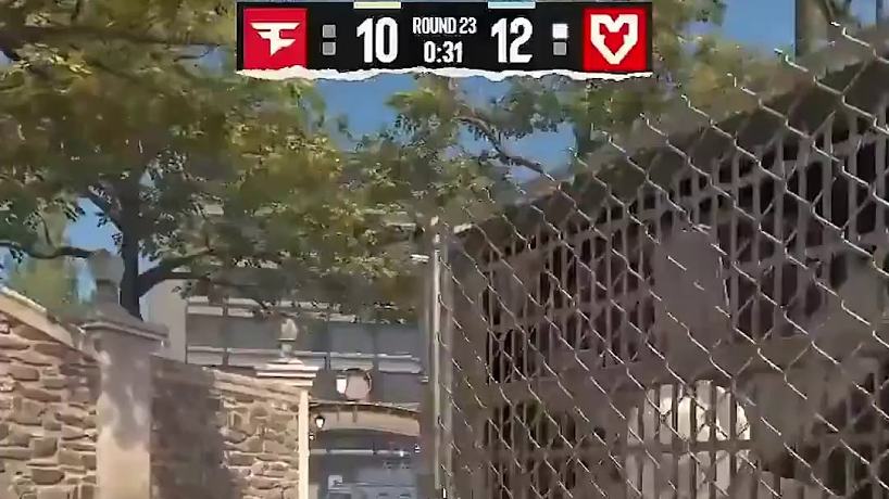 月光蘑菇的直播