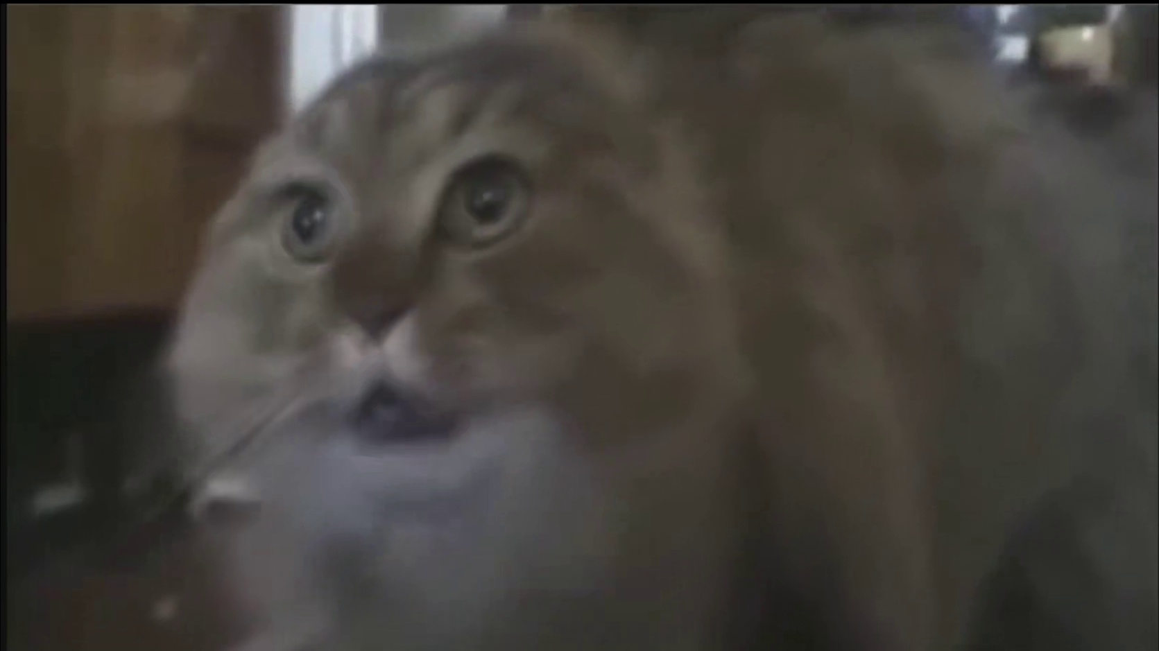 2.4卡池正式确定！下半火系命破般岳+上半物理击破琉音，这下钱包彻底遭不住了！！！
 #绝区零 #绝