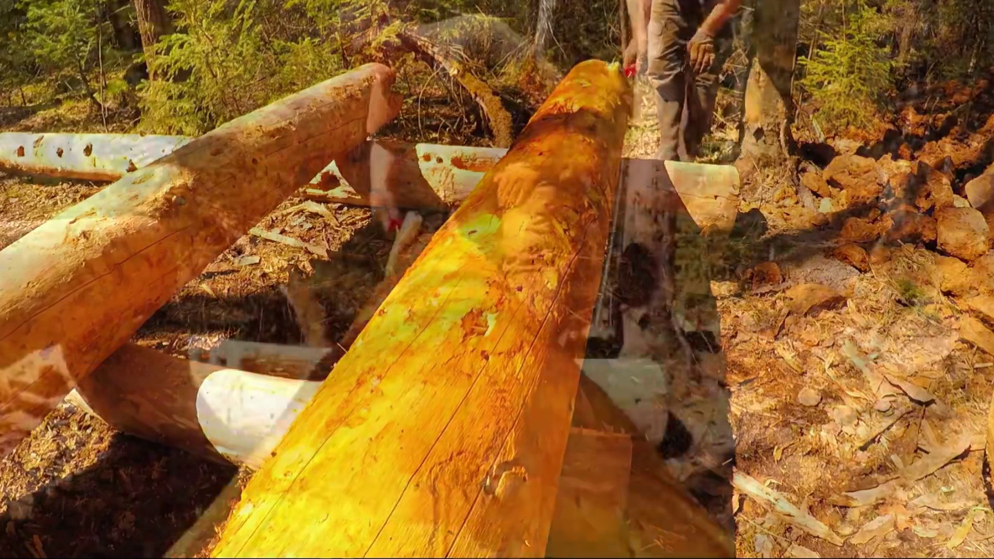 一口气看完男人在西伯利亚的冬天，打造一座气派的地下庇护所！ #野外建造 #解压助眠 #荒野建造