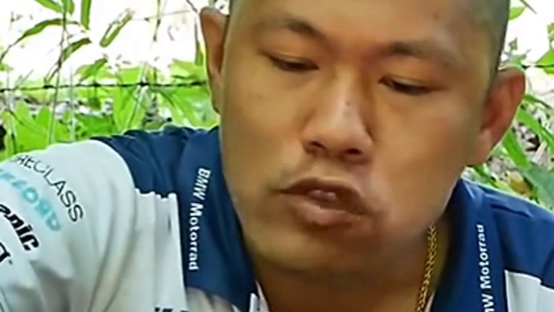 跳跳虾太能蹦了