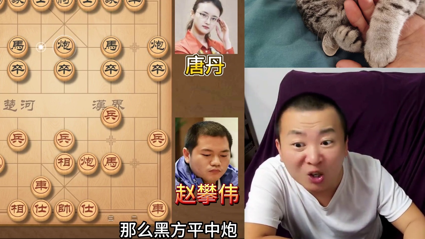 20步棋“秒”了女子第一人？赵攀伟VS唐丹 25年象甲焦点之 #象棋 #中国象棋 #象棋比赛 #象甲