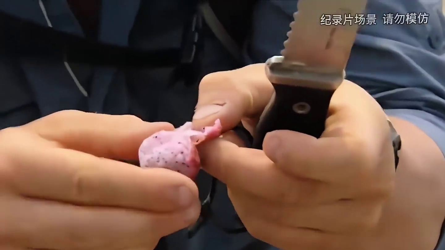 贝爷真是什么都敢吃