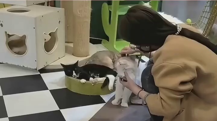 不是啊，你开了锁头挂啊