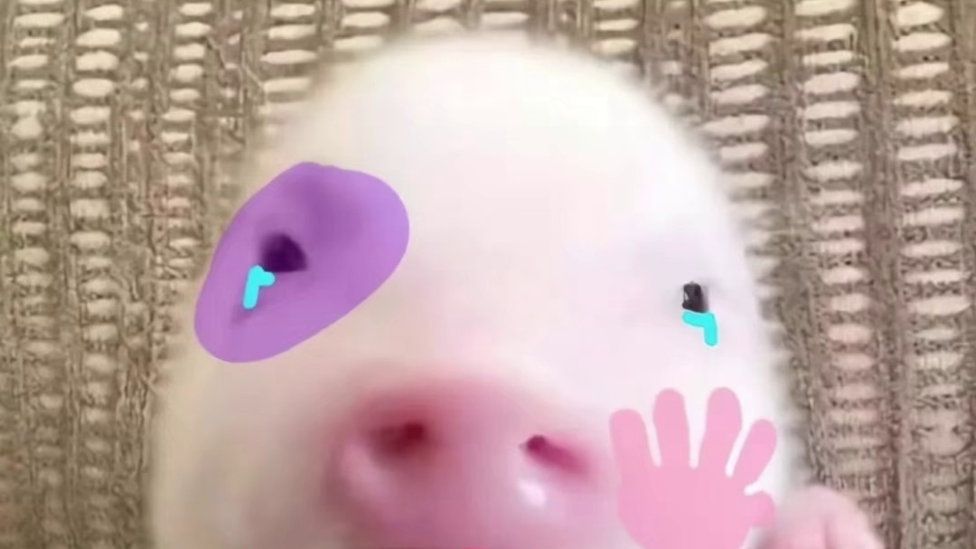 谁想和我一起玩…