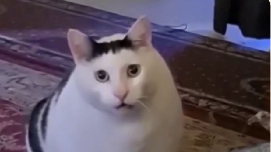 蛋仔派对：假如追捕者们来到寻宝队，谁才会成为最强的怪物？ 蛋仔派对