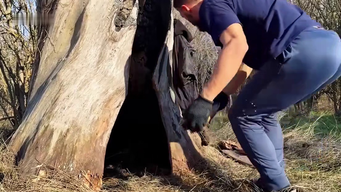 谁能拒绝在睡前刷一集解压荒野建造，它绝对是失眠者的良药。