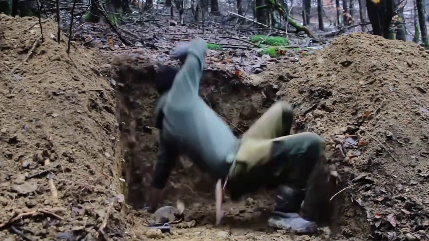 热爱四海为家的西亚独自来到荒野地带