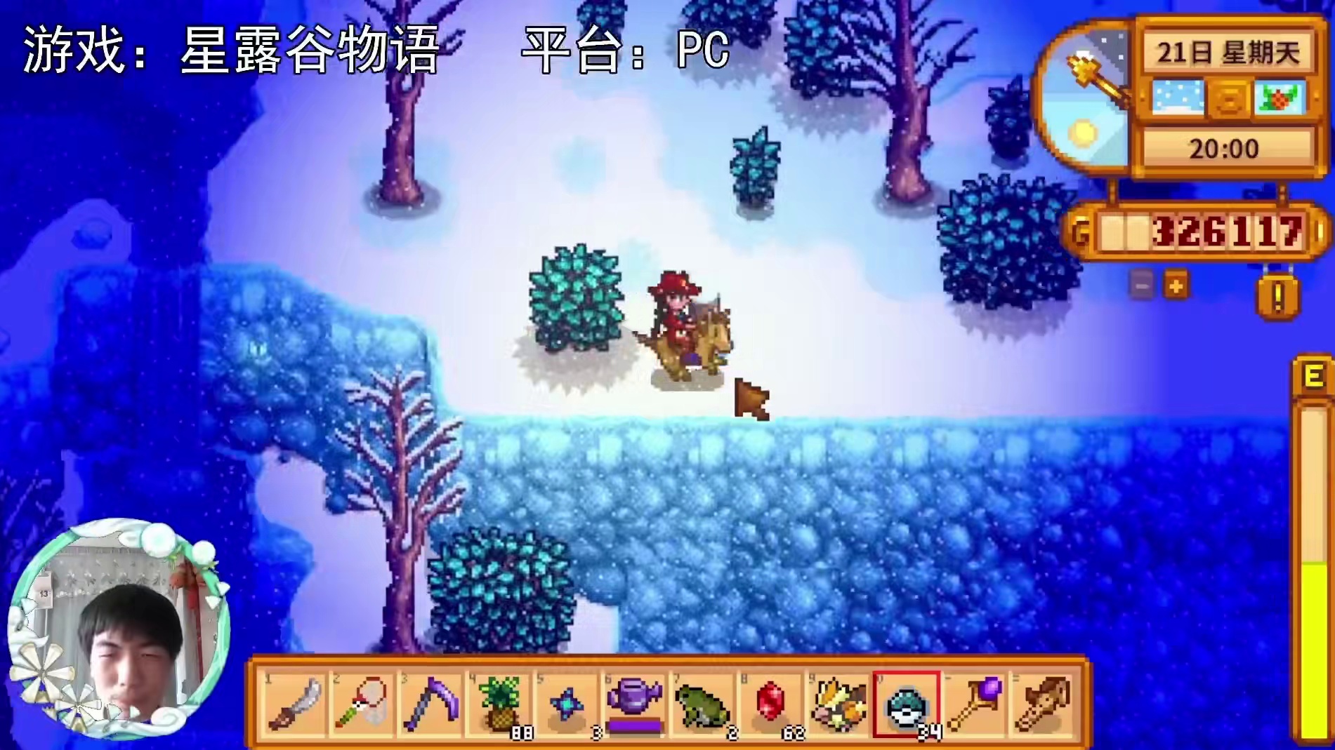 【星露谷物语】水里一条鲤鱼王！