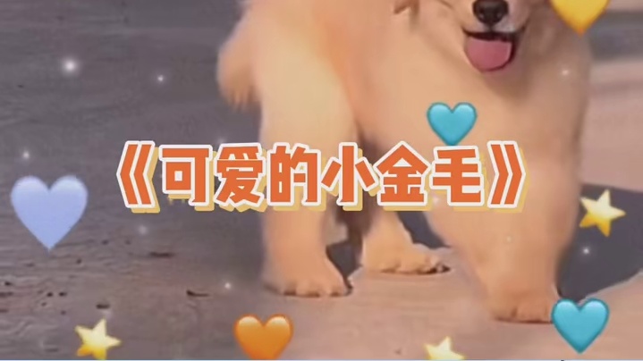 拍照时光线有多重要