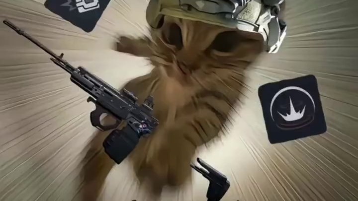 猛攻鼠鼠来了哦