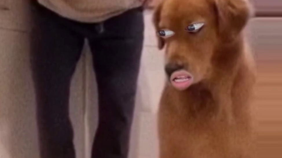 无声胜有声#搞笑 #看一遍笑一遍 #万万想不到