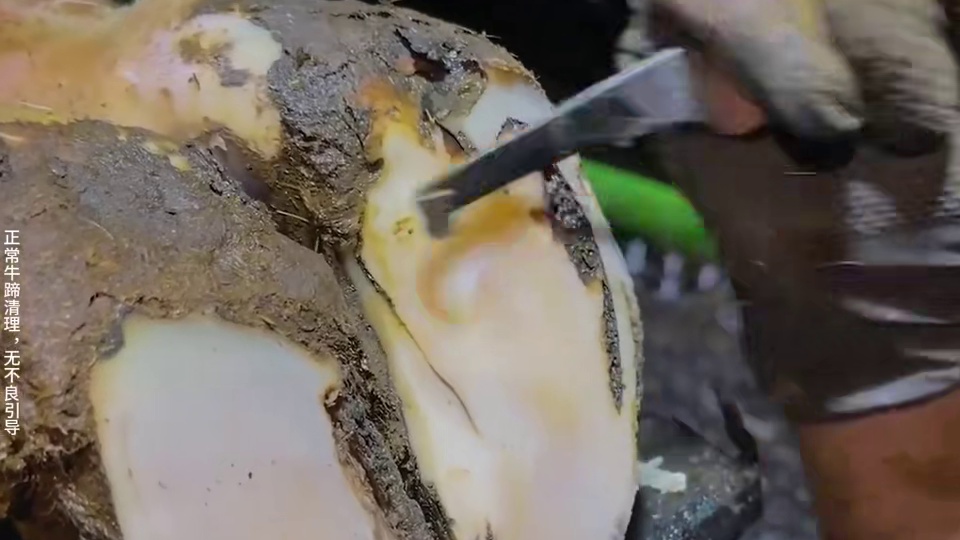 冲，可劲冲，蹲坑一下变得万分轻松