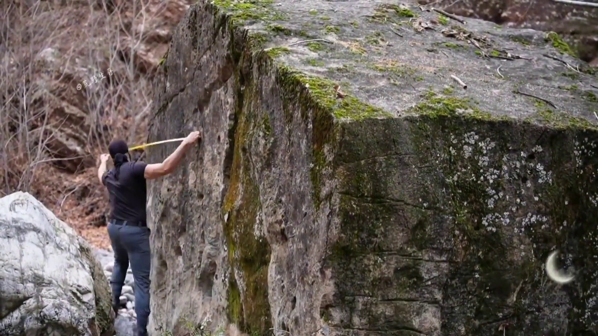 一口气看完壮哥在野外建造，加上奇葩的捕鱼陷阱！