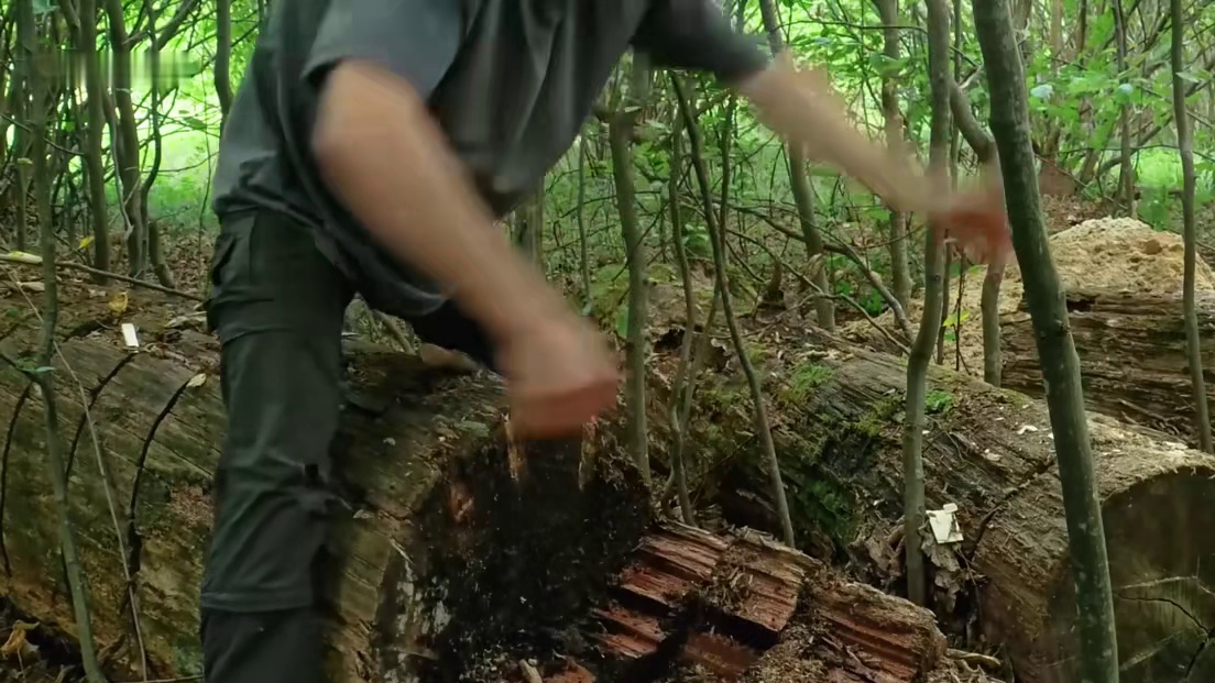 斯蒂芬为了过上荒野独居的日子独自来到森林(5)