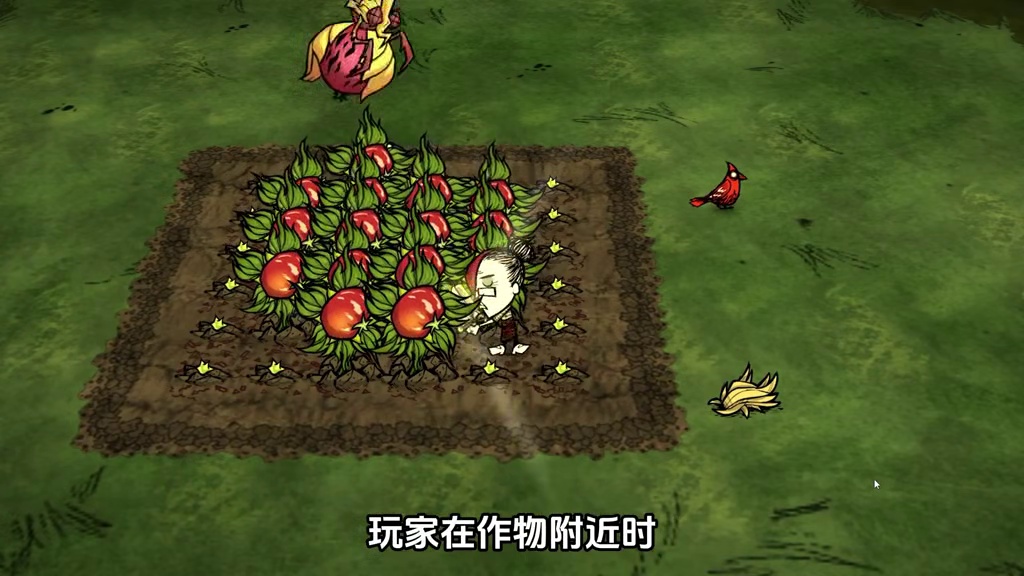 饥荒联机版：废柴BOSS果蝇王掉落物是种地神器 #饥荒 #游戏 #游戏实况