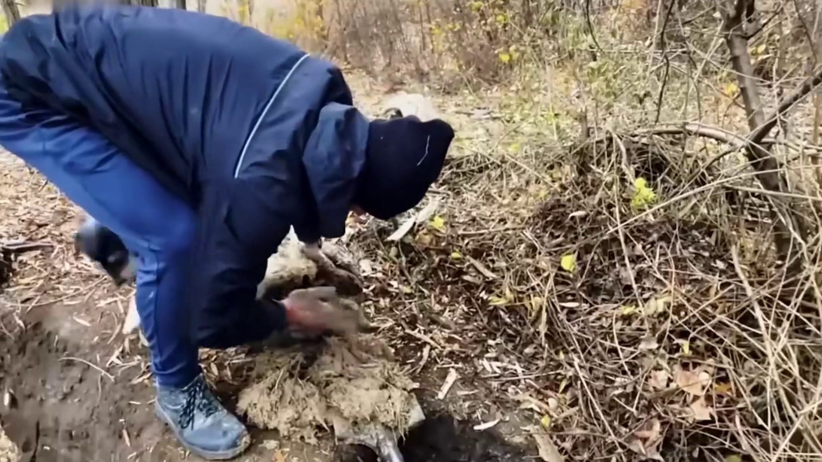 为不避免在末日来临时无家可归(2)