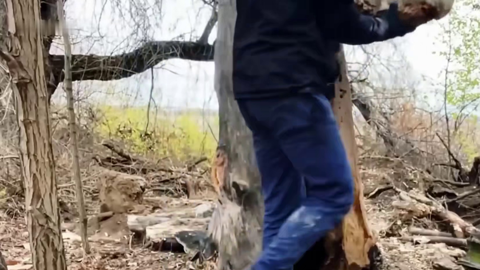 为不避免在末日来临时无家可归(3)