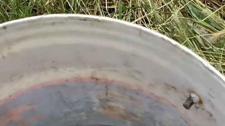 收工回家！！！#野钓 #钓鱼 #鱼获满满 #真实户外