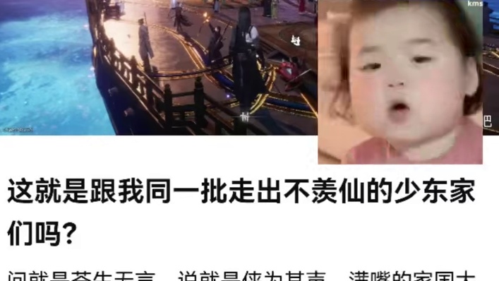 #燕云十六声 #燕云江湖造梦师 #燕云镜头诗人 #染上燕瘾了 #用我的方式讲燕云