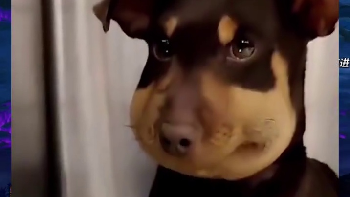 我就说不开，你们非让我开！然后开完还笑话我！擦！ #DNF猪猪侠联动  #dnf #地下城与勇士 #