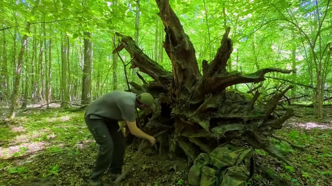 第1集：荒无人烟的野外，男人在一棵枯木里搭建了舒适的小屋