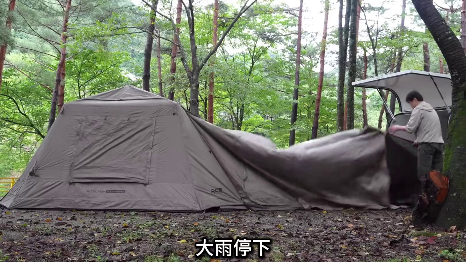 第2集：暴雨天搭建帐篷，在野外露营，和小狗一起露营