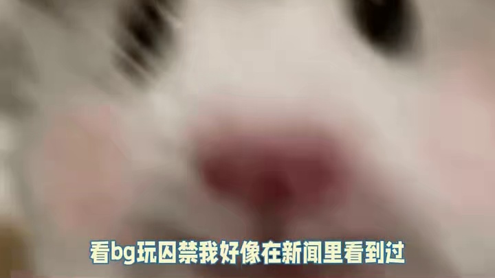 主打一个看热闹不嫌事大