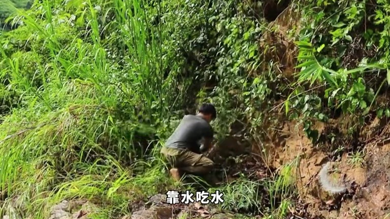当别人还在苦苦求生的时候，男人已经在野外搭建出气派的洞堡垒！