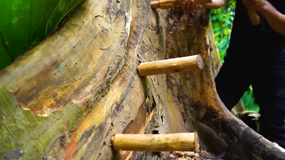 如果你在野外遇到危险时，这个搭建在空中的庇护所肯定能救你一命#荒野建造 #真实户外 #野外生存 #解