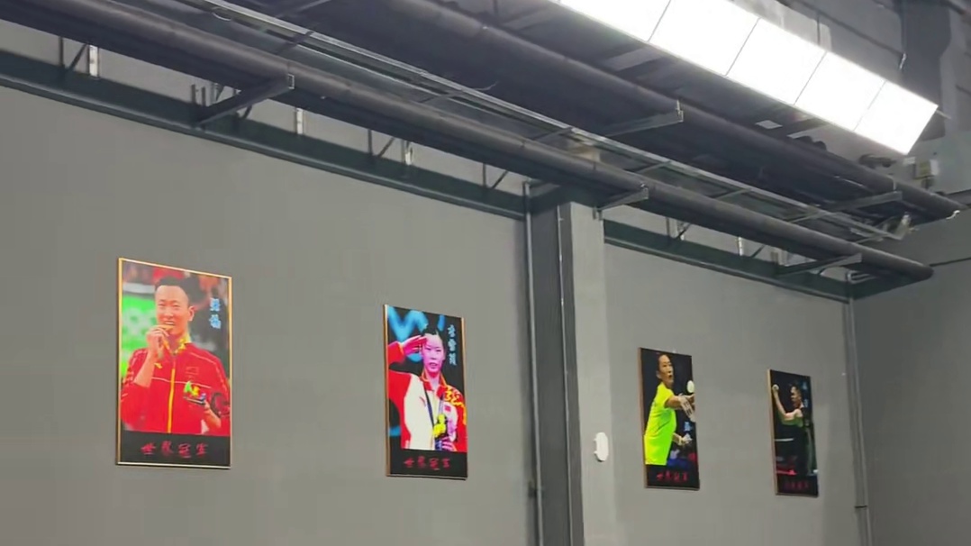 假如接杀有段位 #羽毛球