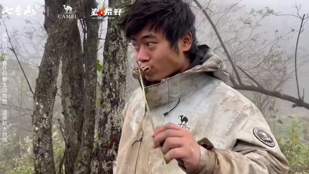 是荒野,也是无限 第二届中国张家界“七星山|骆驼杯”极限荒野挑战赛,第十三天#荒野求生#张家界七星山