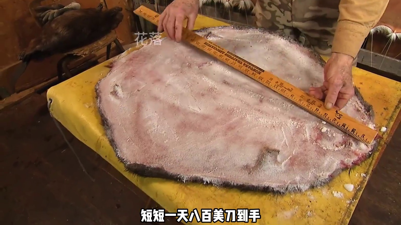 老猎人的鞣制技术 #纪录片 #野外生存 #野外建造 #荒野求生