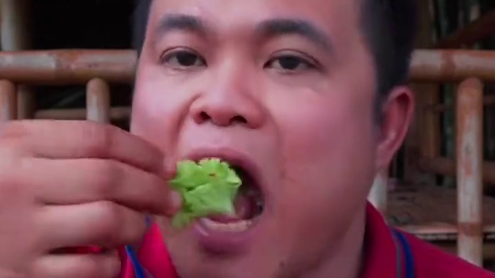 扁豆角新鲜小米辣️碎凉拌墨鱼胖须 泰国美食